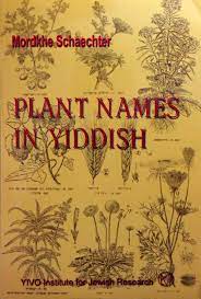 Plant Names in Yiddish | YIVO Institute for Jewish Research